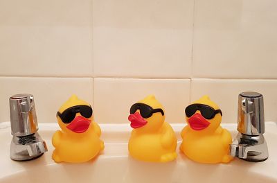 Watch out, watch out there's a Duck about! Duck Race 2017