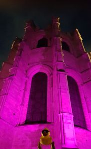 Canterbury Cathedral on World Polio Day