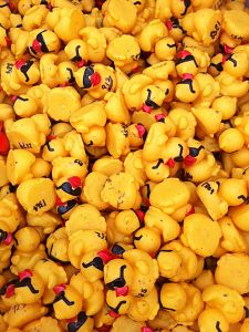 Rubber ducks for the duck race