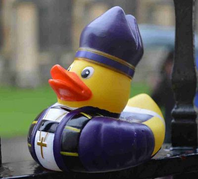 Duck Race 2017 - Special Guest