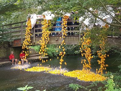 Hooray, it's back! Rotary Club of Canterbury Duck Race 2021