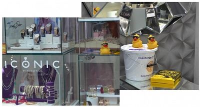 Ducks in window displays