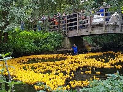 Duck Race 2022 - a fab day for all!