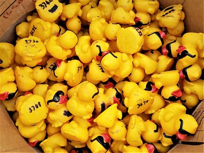 Duck Race 2022 - counting out