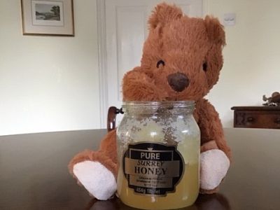 Please support our Honey Bears Early Intervention Nursery project