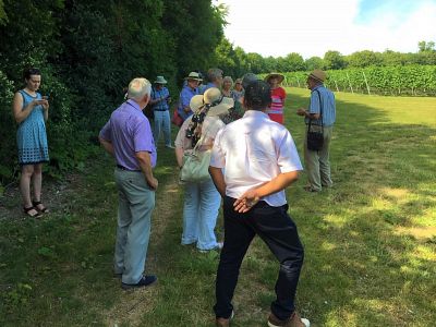 Members and their guests enjoy a tour of the vineyard.