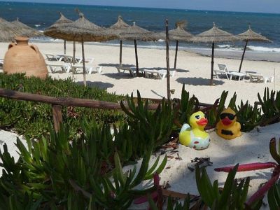 Duck travels: Fun in the sun