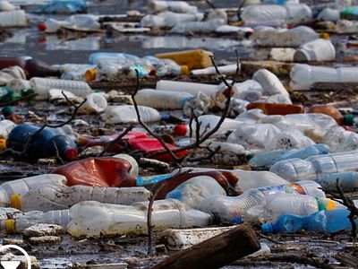 Waste, clogging up a waterway. 